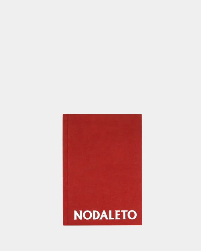 Nodaleto Nodabook livre 100 images seconde édition