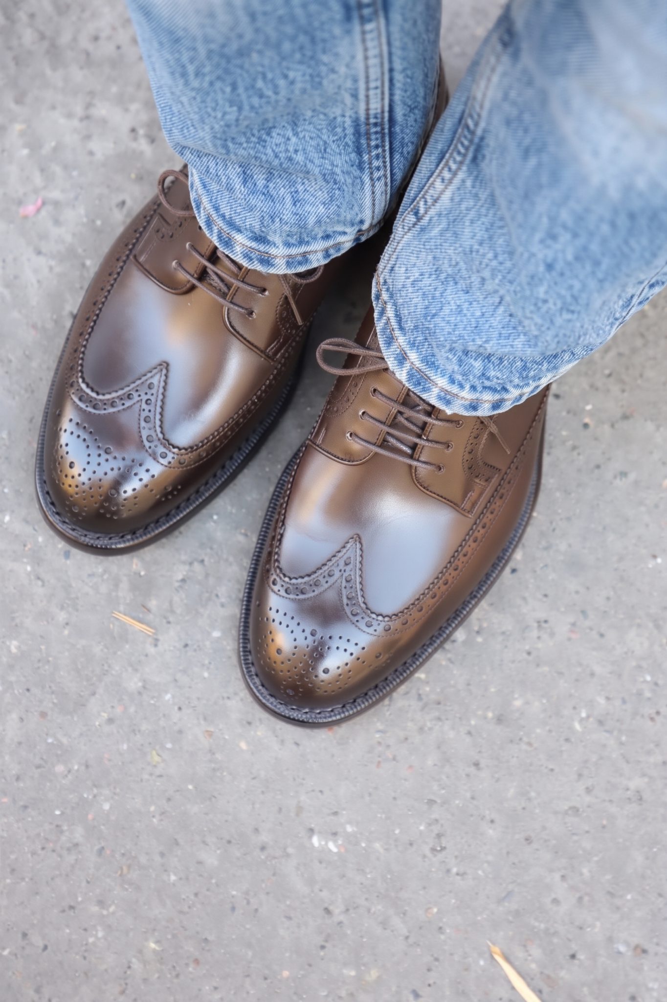 Malfroid Brogue-Master derby box calf