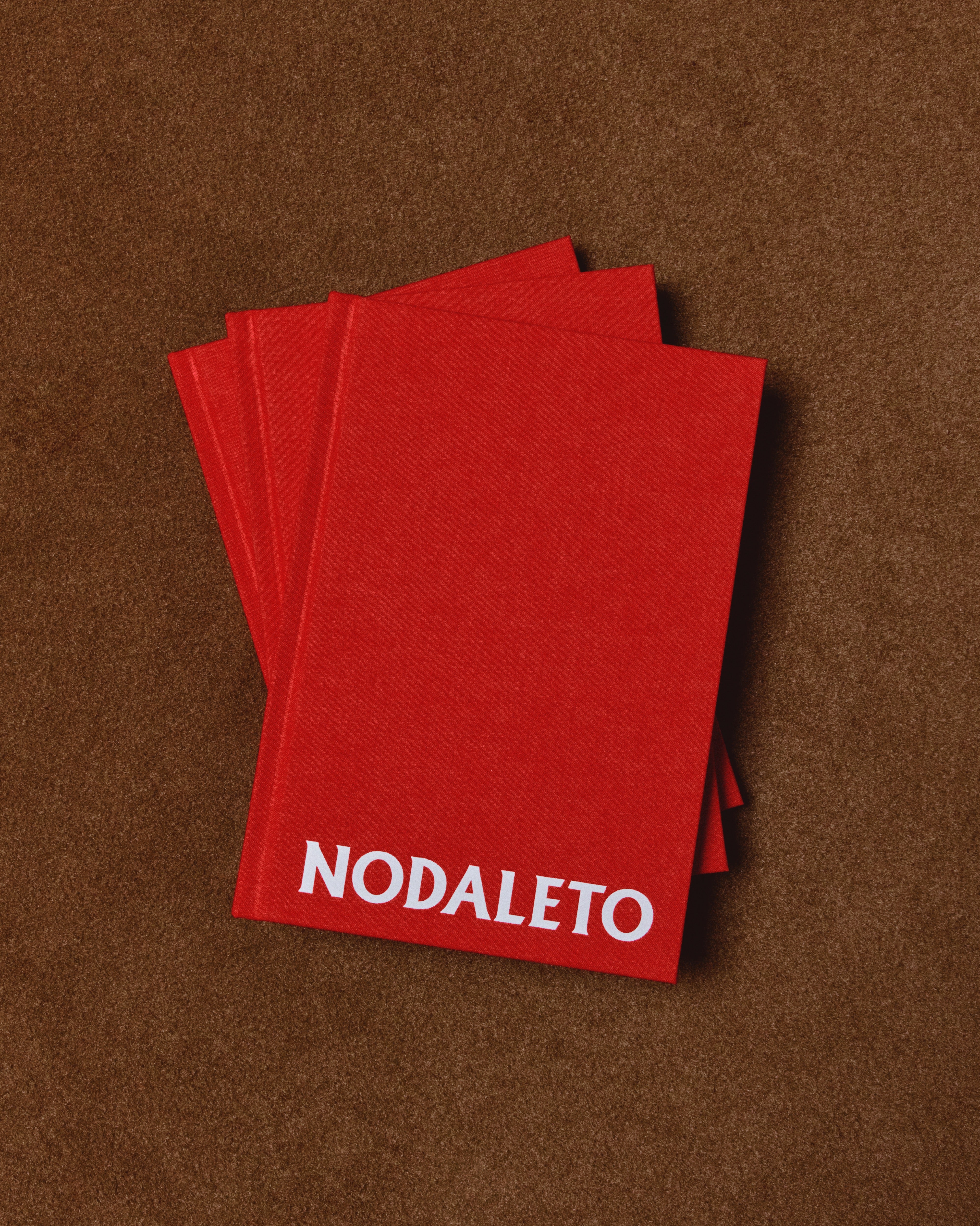 Nodaleto Nodabook livre 100 images seconde édition
